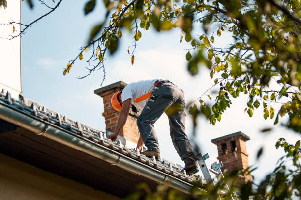 Best Roof Inspection  in Montgomery, IL