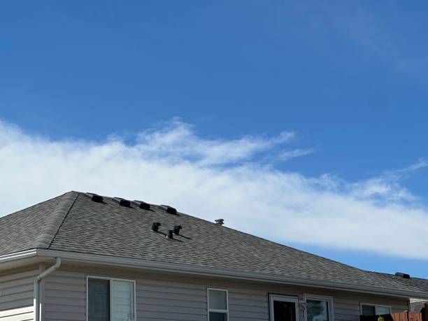 Best Sheet Metal Roofing  in Montgomery, IL